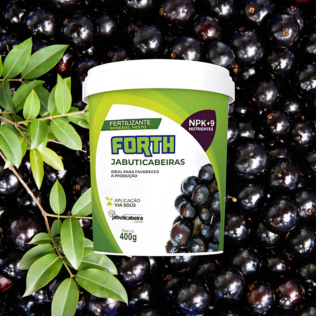 Adubo Forth Para Jabuticabeiras NPK, Farelado de 400g